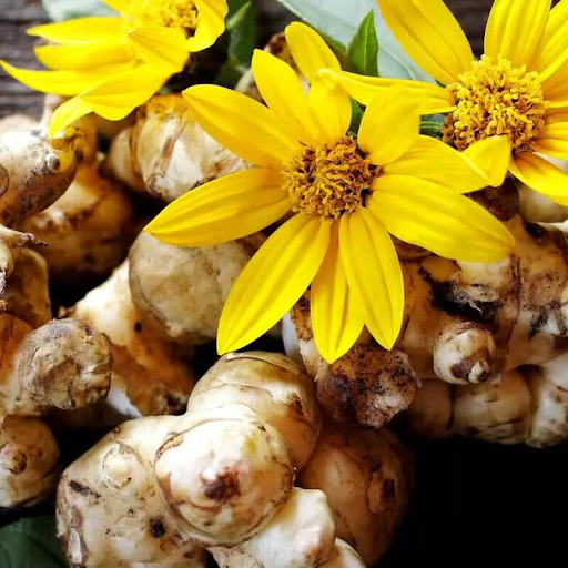 organic vegetable seeds